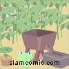 แพนด้าอยู่ไหน