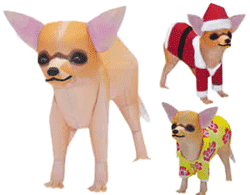 หมาน้อยชิวาวา (Chihuahua)