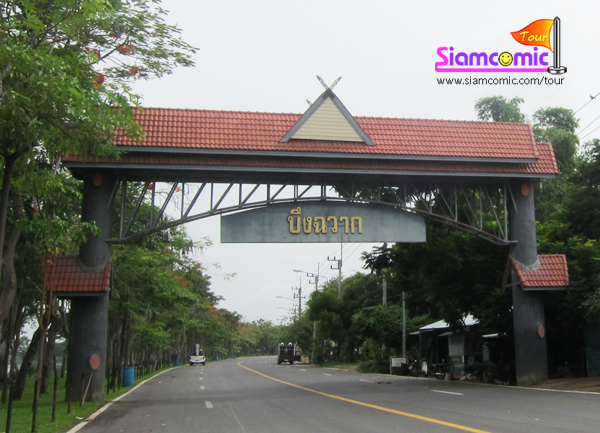 เพลิดเพลินกับสวรรค์แห่งโลกใต้ทะเล อุโมงค์ปลา ณ บึงฉวากเฉลิมพระเกียรติ