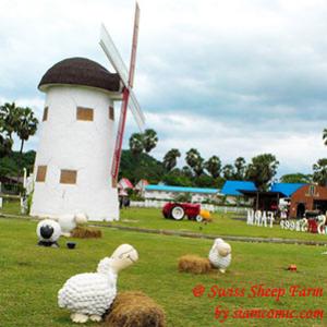 นั่งรถม้าชมฟาร์ม ให้อาหารน้องแกะ แวะป้อนนมวัวน้อย @Swiss Sheep Farm