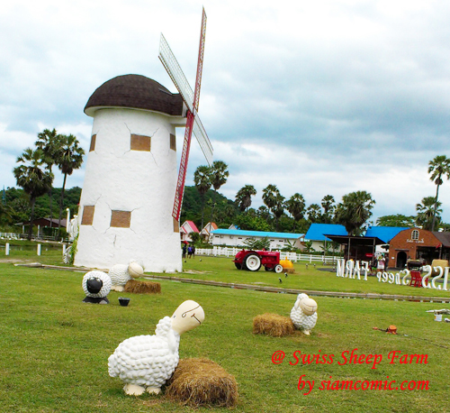 นั่งรถม้าชมฟาร์ม ให้อาหารน้องแกะ แวะป้อนนมวัวน้อย @Swiss Sheep Farm
