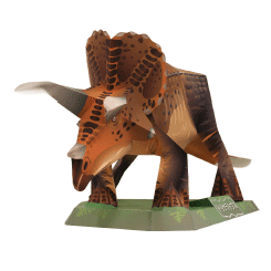 ไดโนเสาร์น้อย Toriceratops